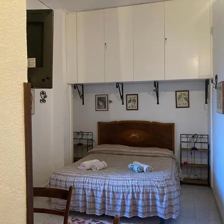 5 Di Spade Gioiosa Marea